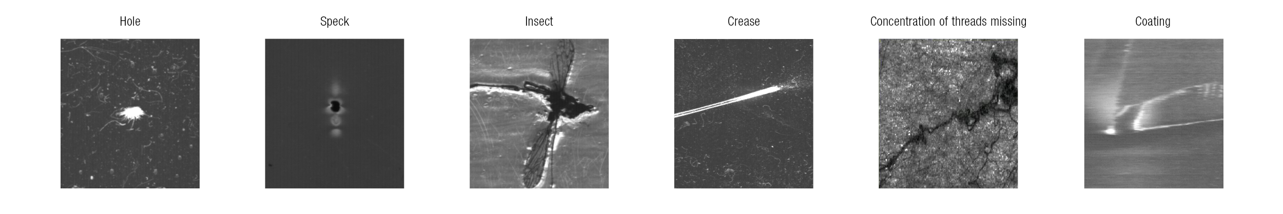 elsis typical defects